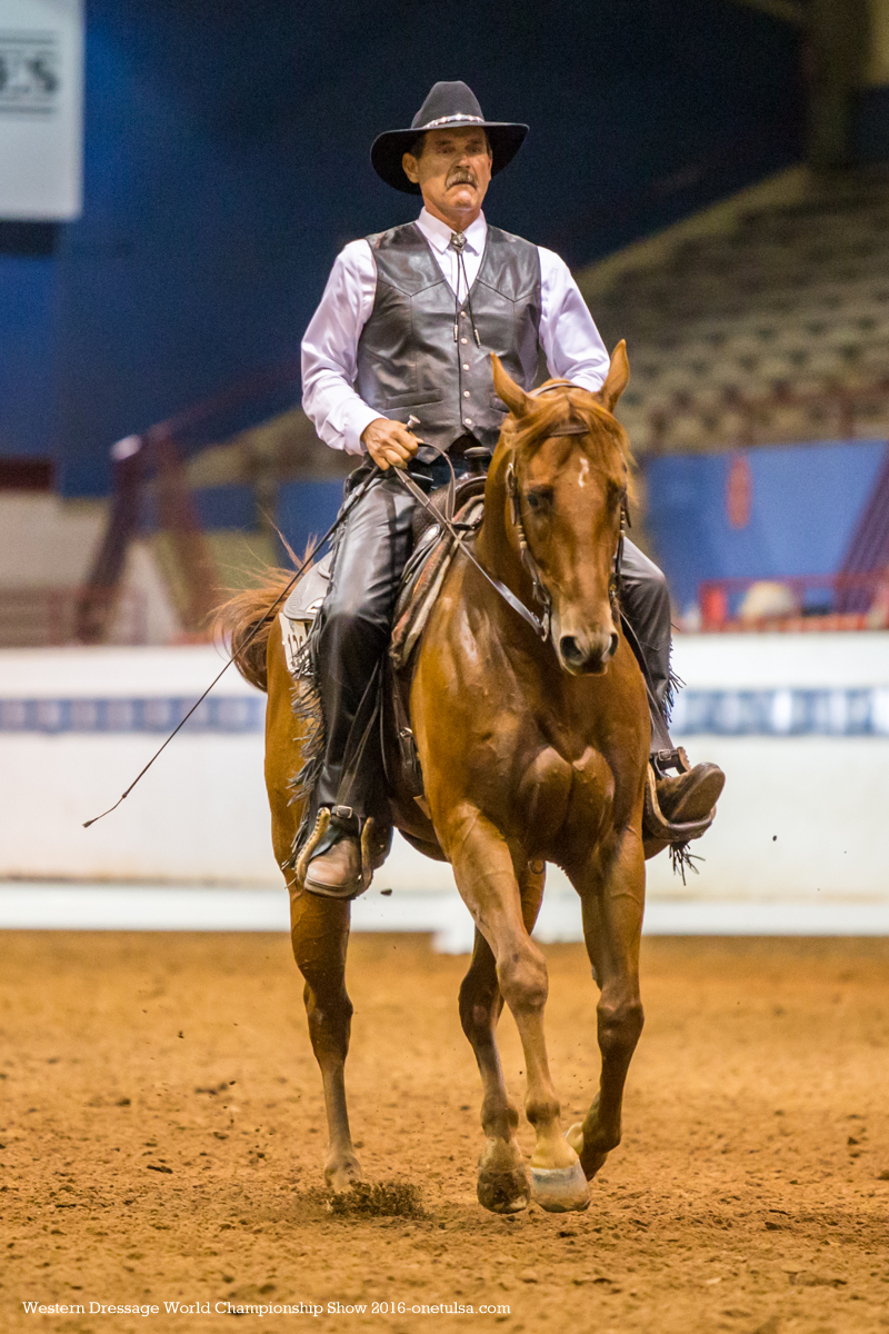 Liberachi SS Five time World and Reserve Champion Level 2 & 3 Open WDAA World Championship Western Dressage Show 2016
