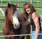 Making contact with Carlo the wild mustang