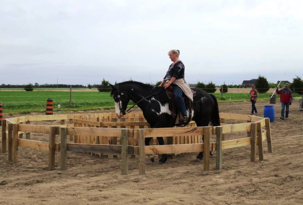 Horse Training Clinic